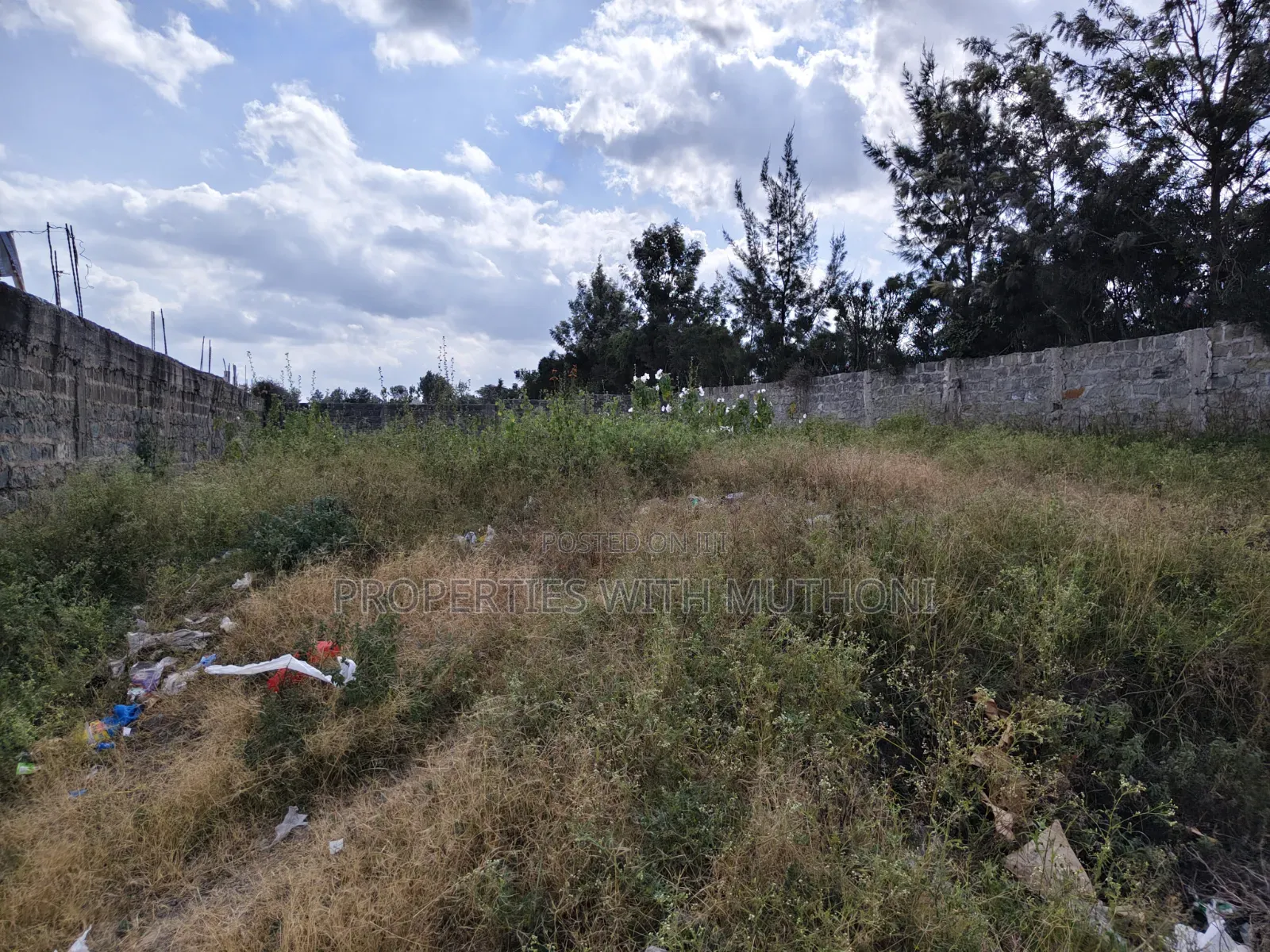 Commercial Plots for Sale in Birika. in Isinya