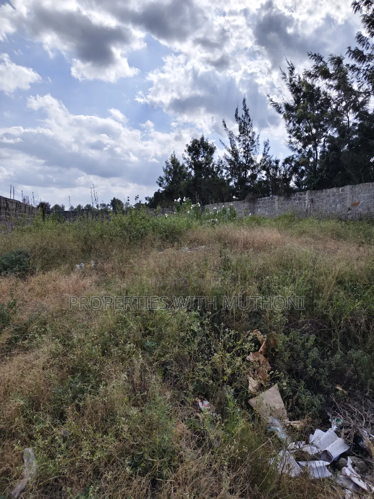 Commercial Plots for Sale in Birika. in Isinya