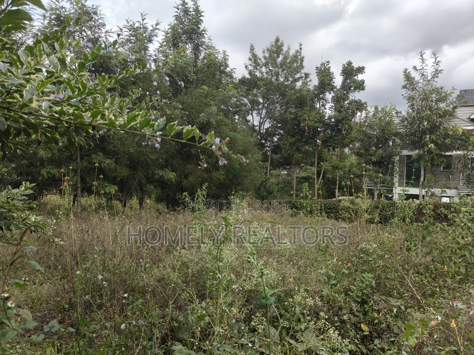Eighth Acre Plot for Sale in Ngong, Matasia in a Residential Drive in Matasia