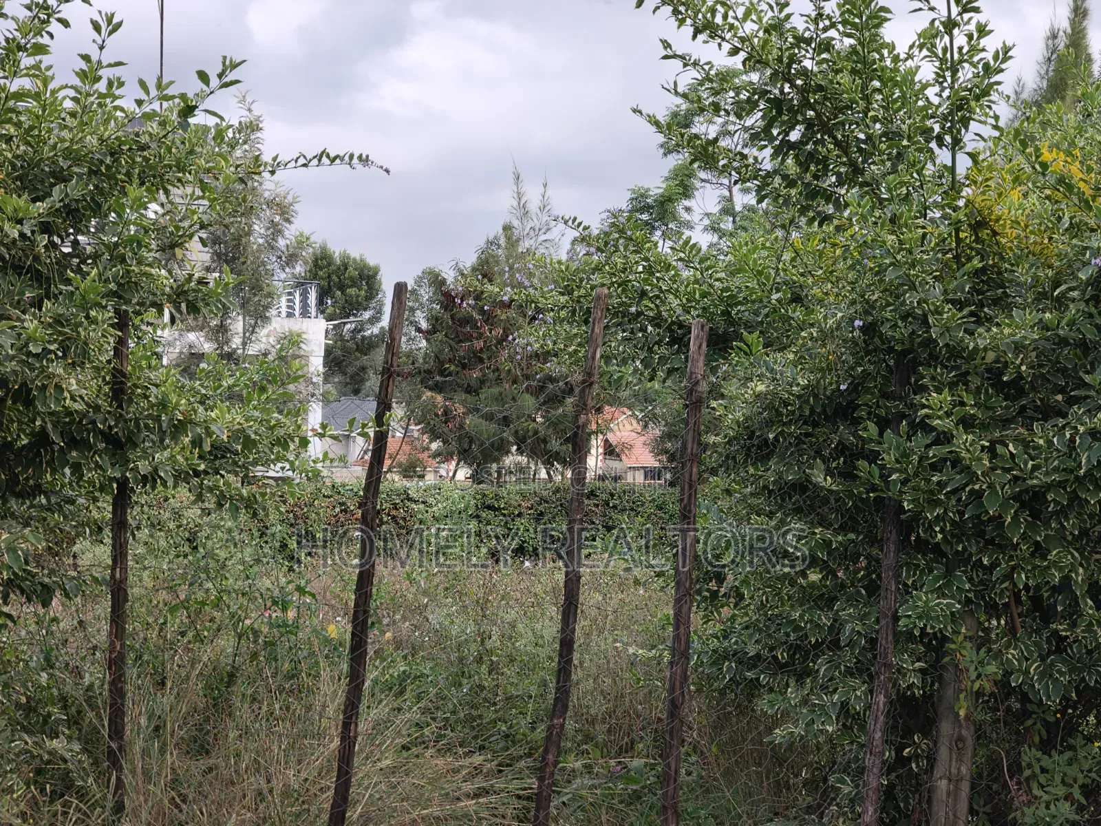 Eighth Acre Plot for Sale in Ngong, Matasia in a Residential Drive in Matasia