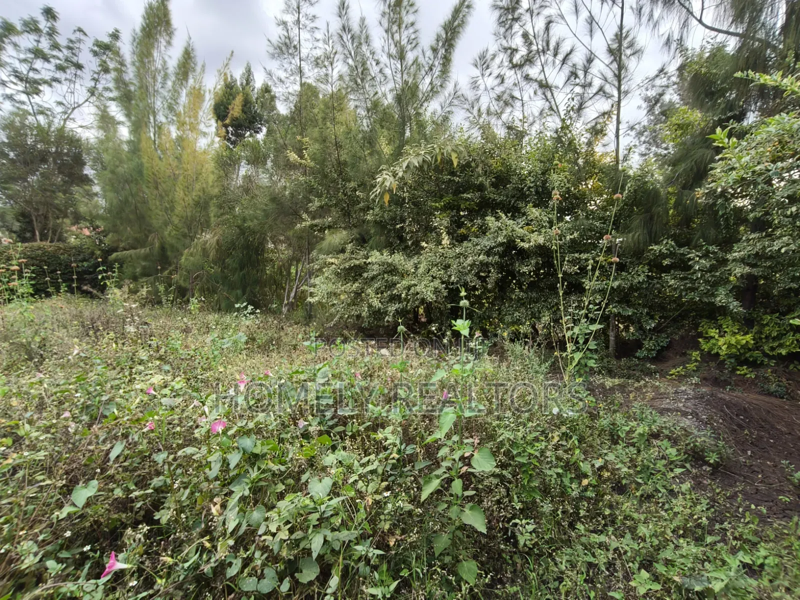 Residential Quarter Acre Plot for Sale in Matasia, Ngong. Good Views in Matasia