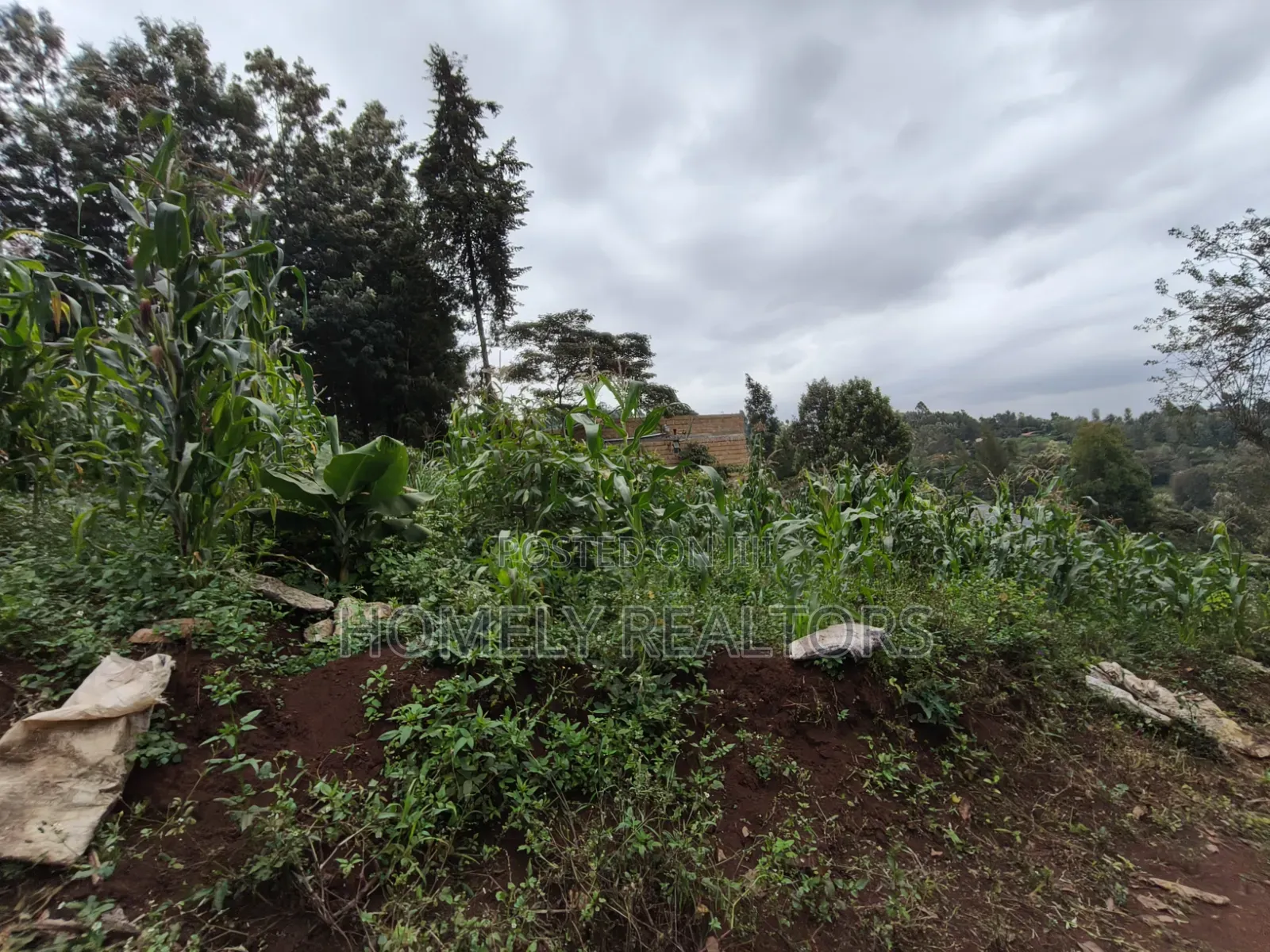 Affordable Eighth Acre Plot for Sale in Matasia Ngong, Silanga Road in Matasia