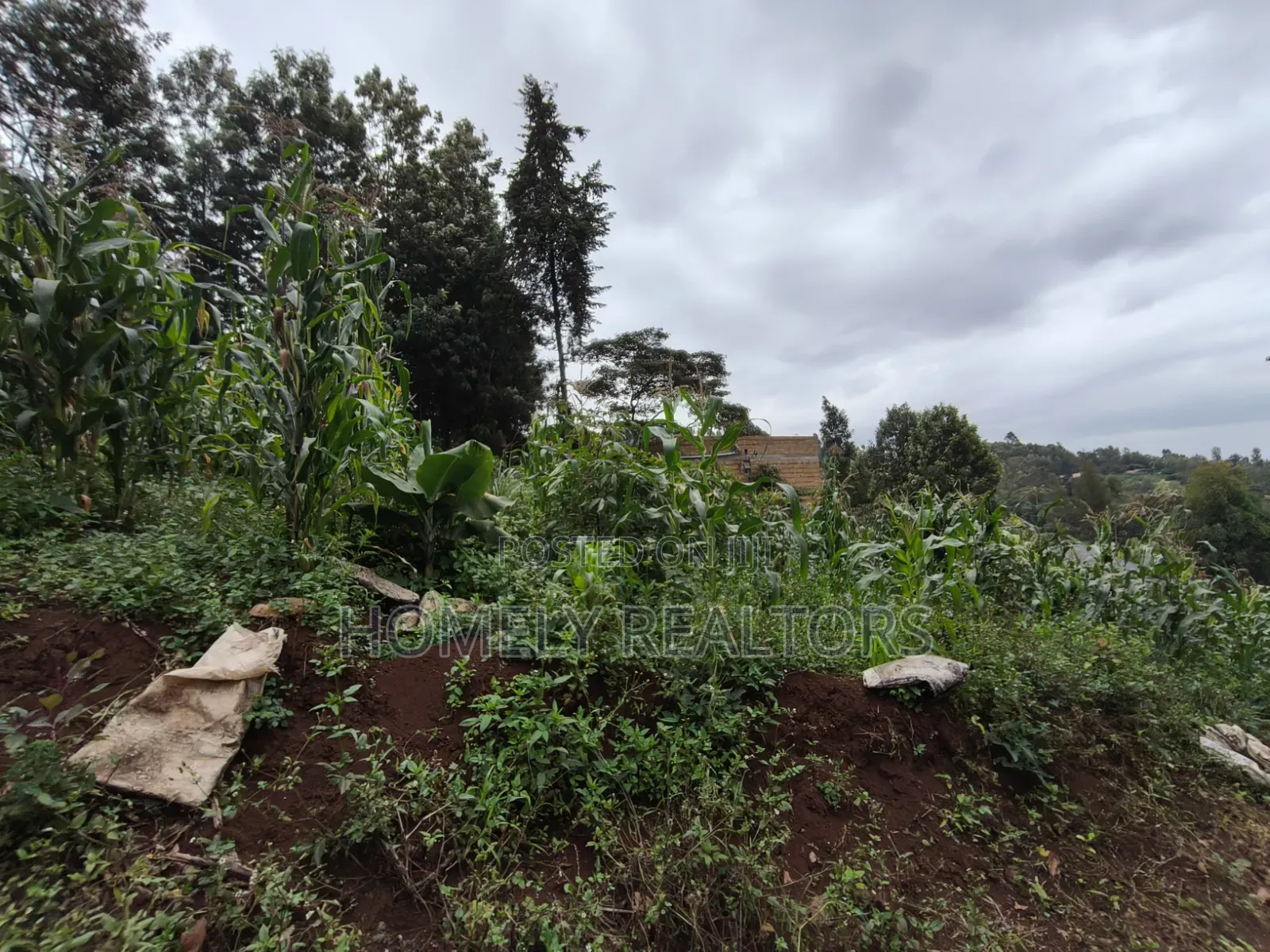 Affordable Eighth Acre Plot for Sale in Matasia Ngong, Silanga Road in Matasia