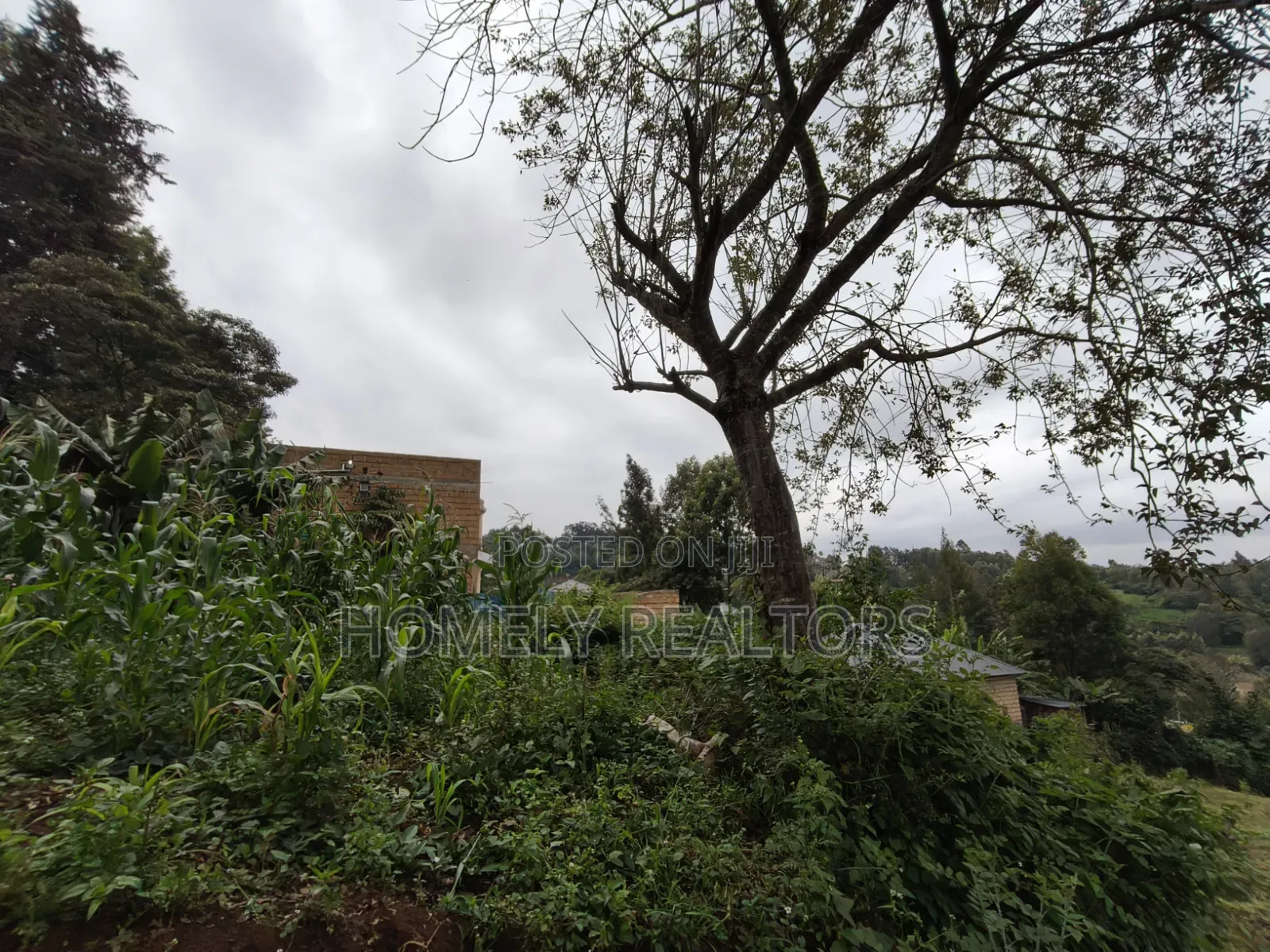 Affordable Eighth Acre Plot for Sale in Matasia Ngong, Silanga Road in Matasia