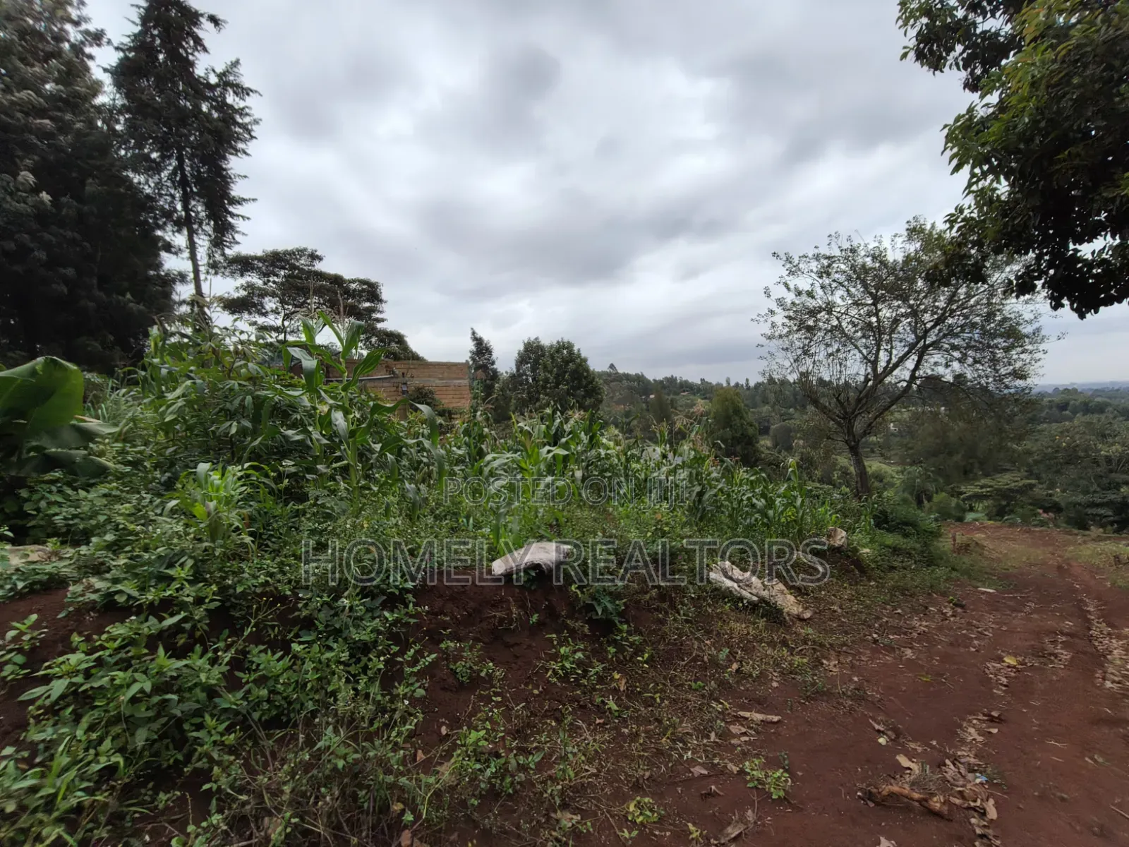Affordable Eighth Acre Plot for Sale in Matasia Ngong, Silanga Road in Matasia