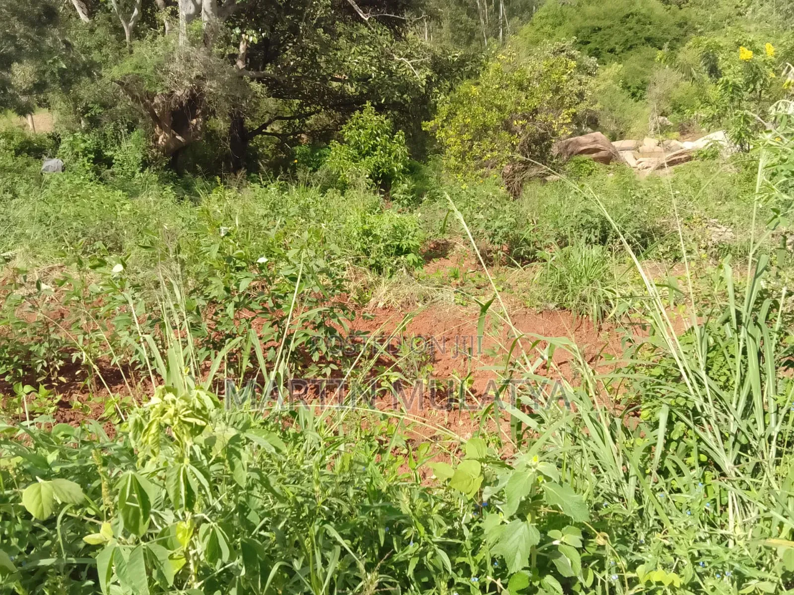 Plot for Sell in Malili