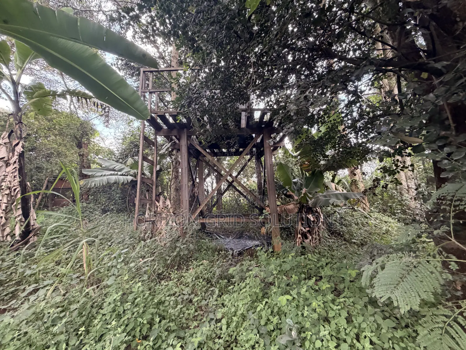 4.8 Acres St. Elizabeth in Hardy