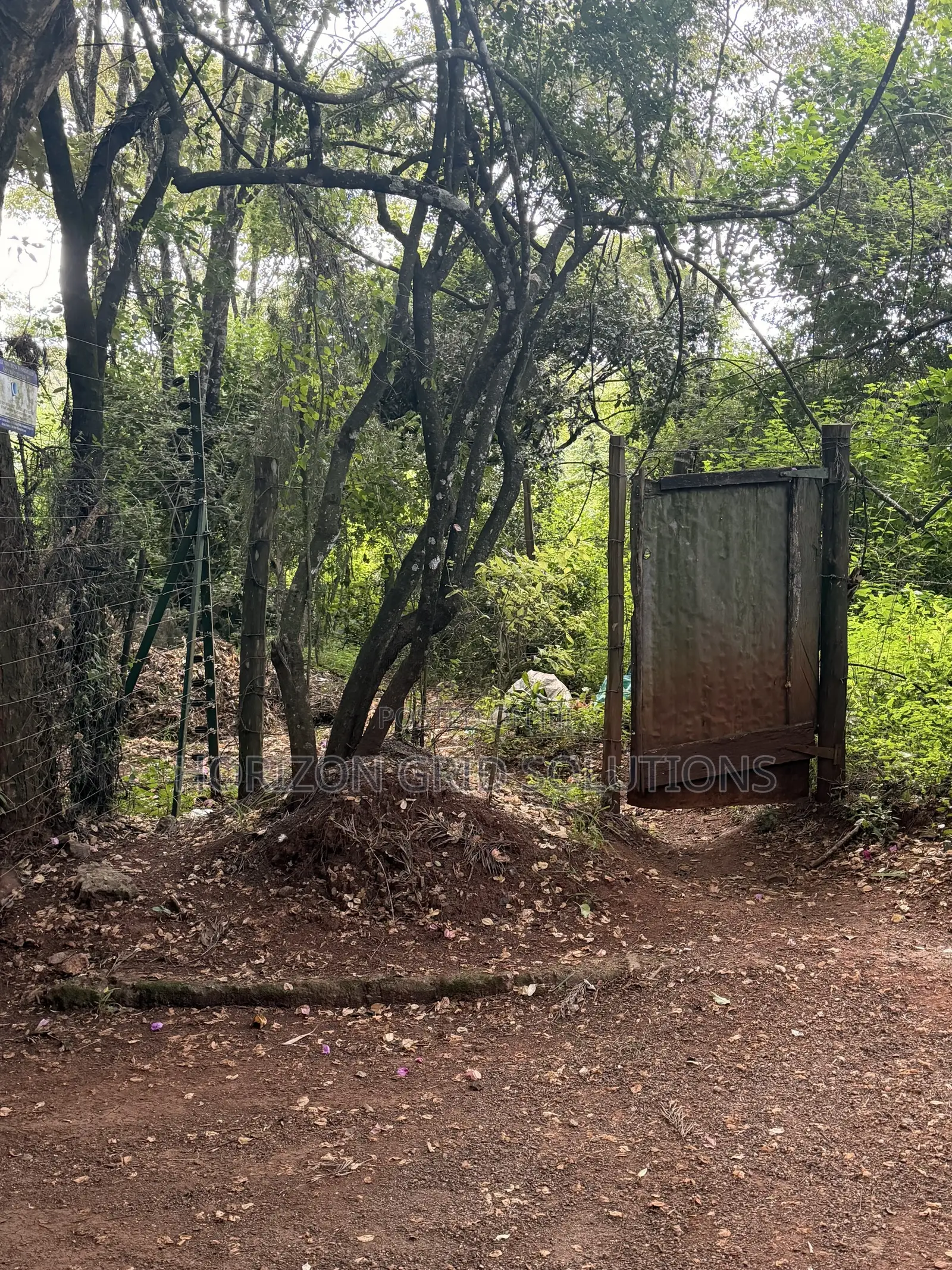 4.8 Acres St. Elizabeth in Hardy