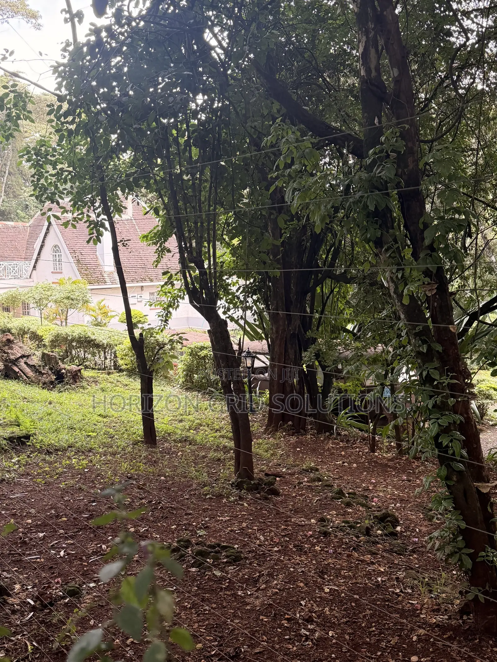 4.8 Acres St. Elizabeth in Hardy