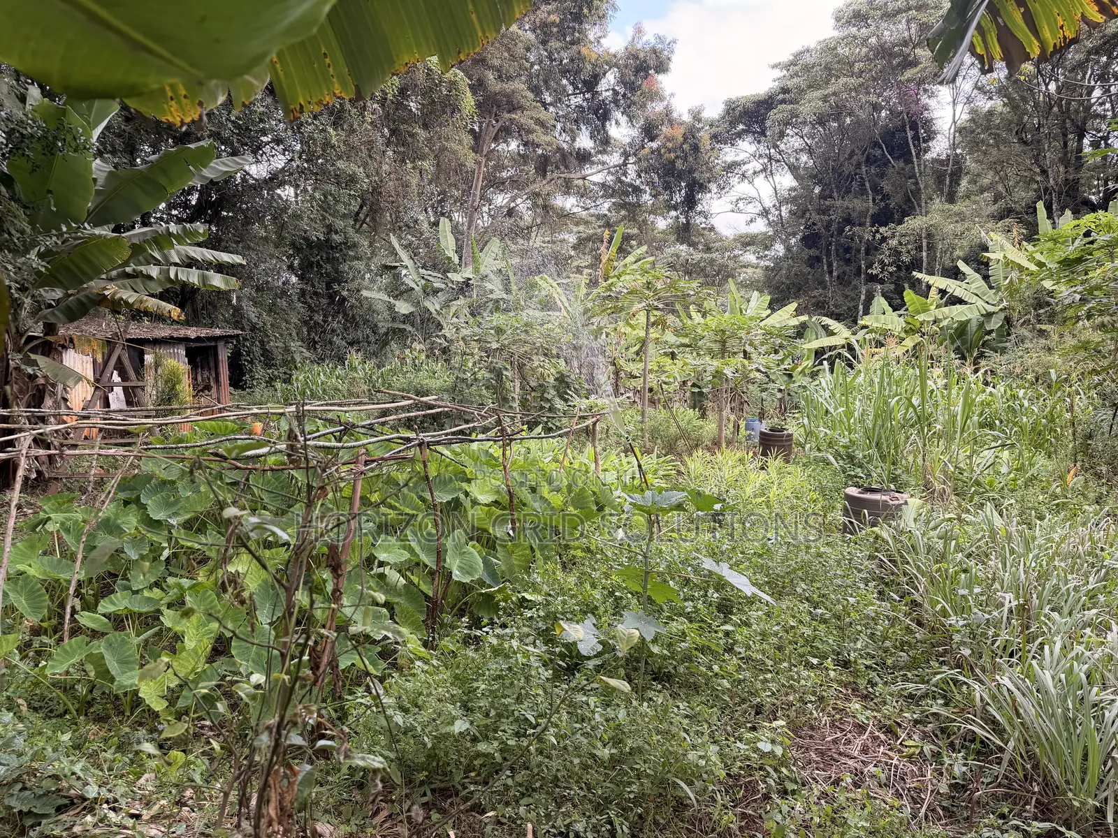 4.8 Acres St. Elizabeth in Hardy