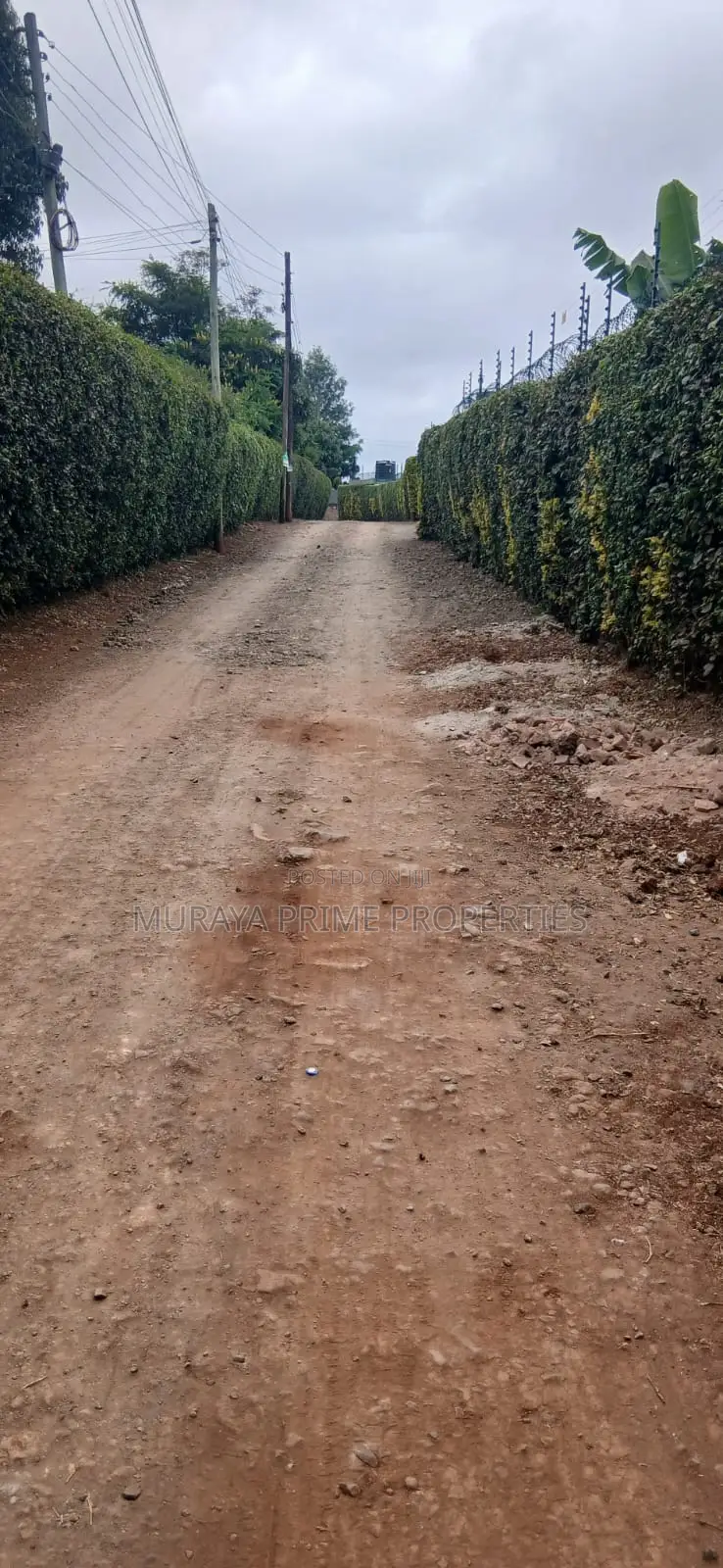Prime Quarter Acre for Sale – Kerarapon Drive in Kerarapon