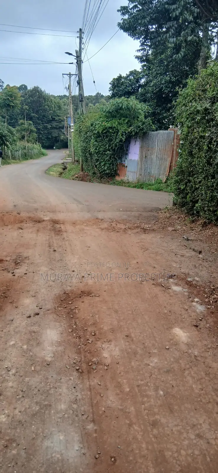 Prime Quarter Acre for Sale – Kerarapon Drive in Kerarapon