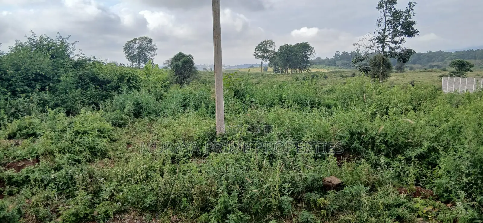 Prime 1⁄2 Acre Plot for Sale – Kerarapon Drive in Kerarapon