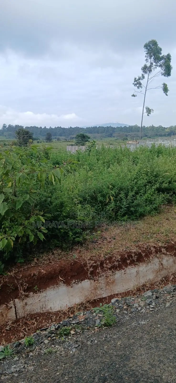 Prime 1⁄2 Acre Plot for Sale – Kerarapon Drive in Kerarapon
