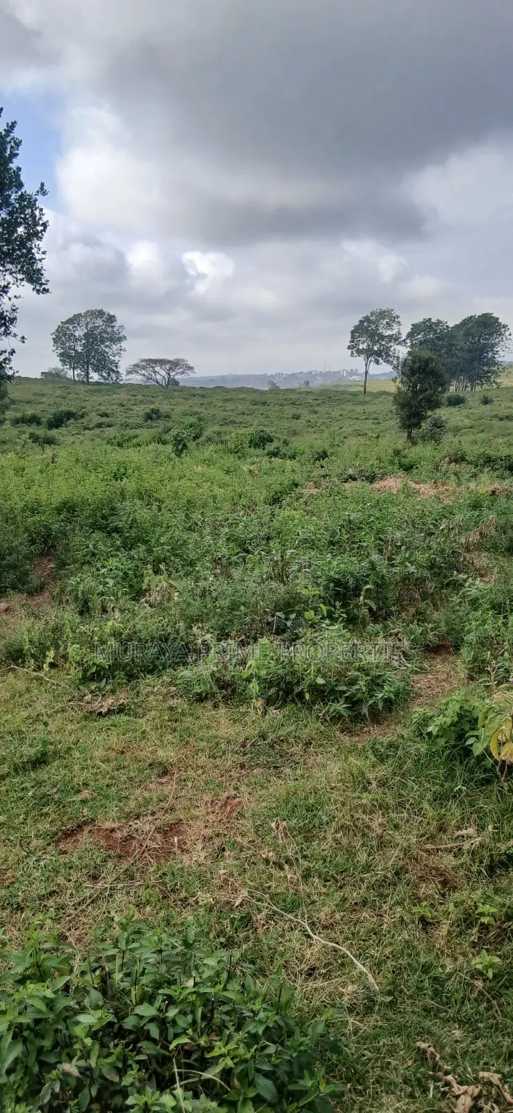 Prime 1 Acre Plot for Sale – Kerarapon Drive in Kerarapon