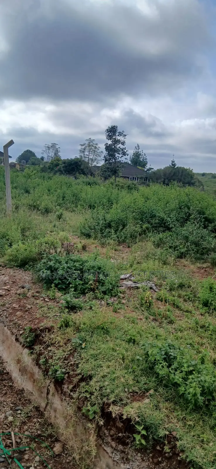 Prime 1 Acre Plot for Sale – Kerarapon Drive in Kerarapon