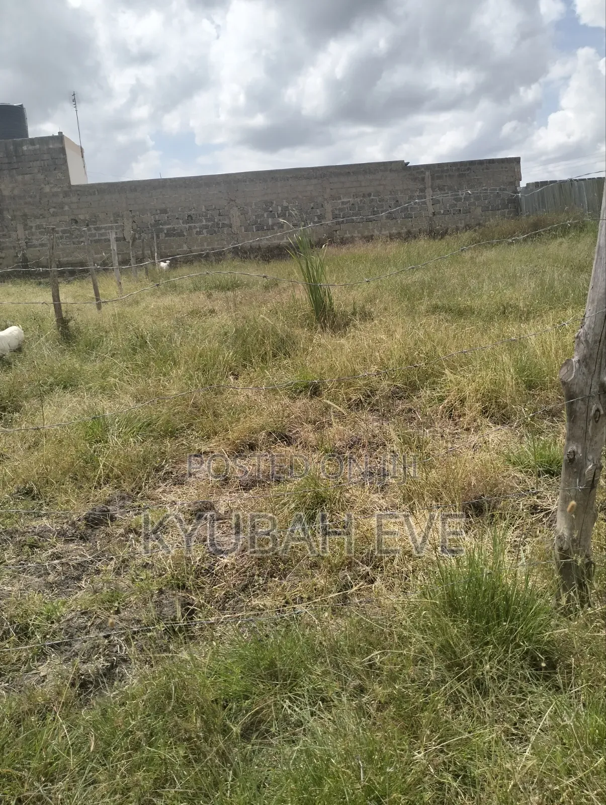 Prime 50 X 100 Plot for Sale – Kantafu in Malaa