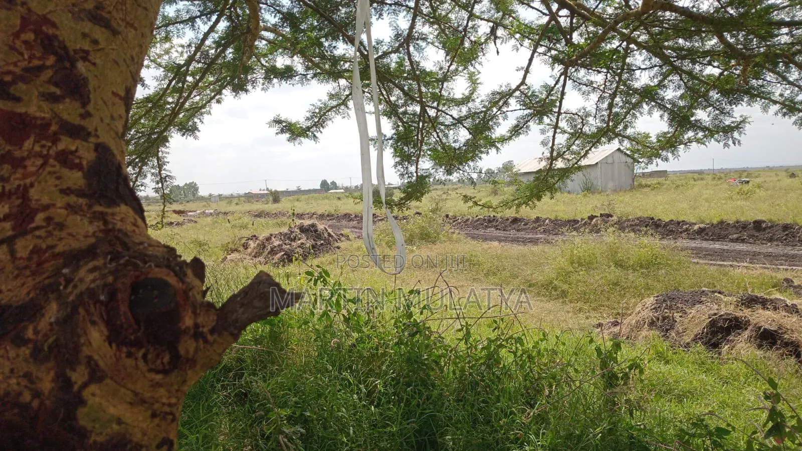 Land for Sell in Mlolongo