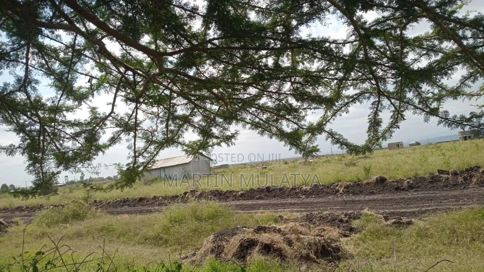 Land for Sell in Mlolongo