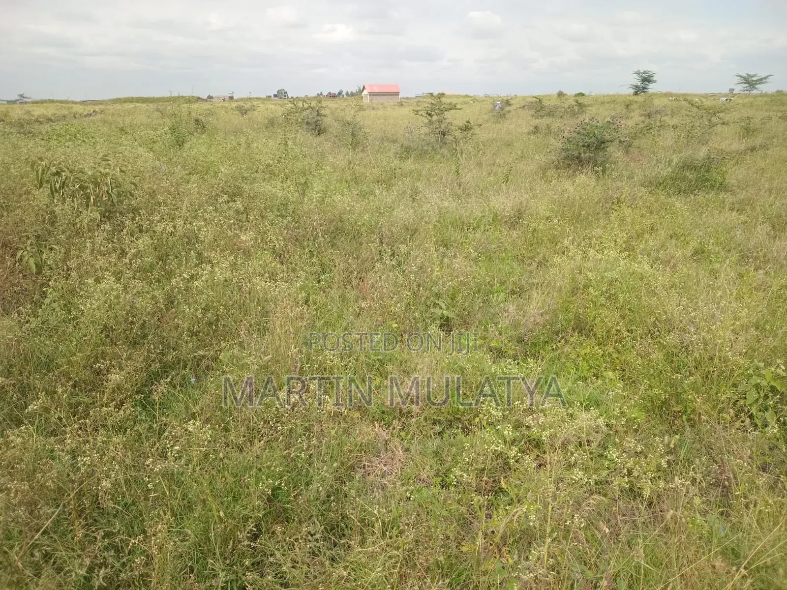 Land for Sell in Mlolongo