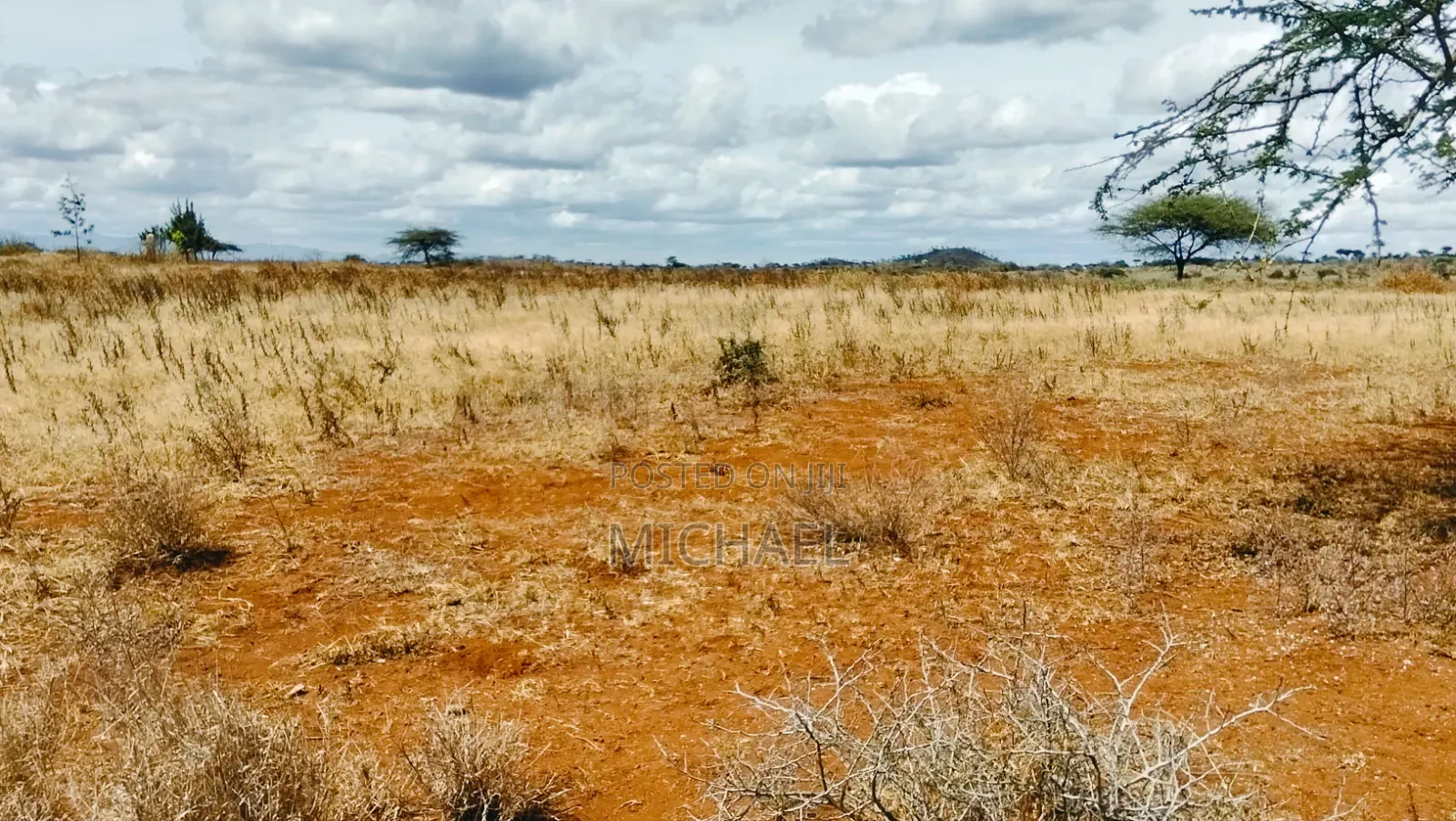 Prime 20 Acres for Sale – Great Investment Farming Opportunity! in Kimana