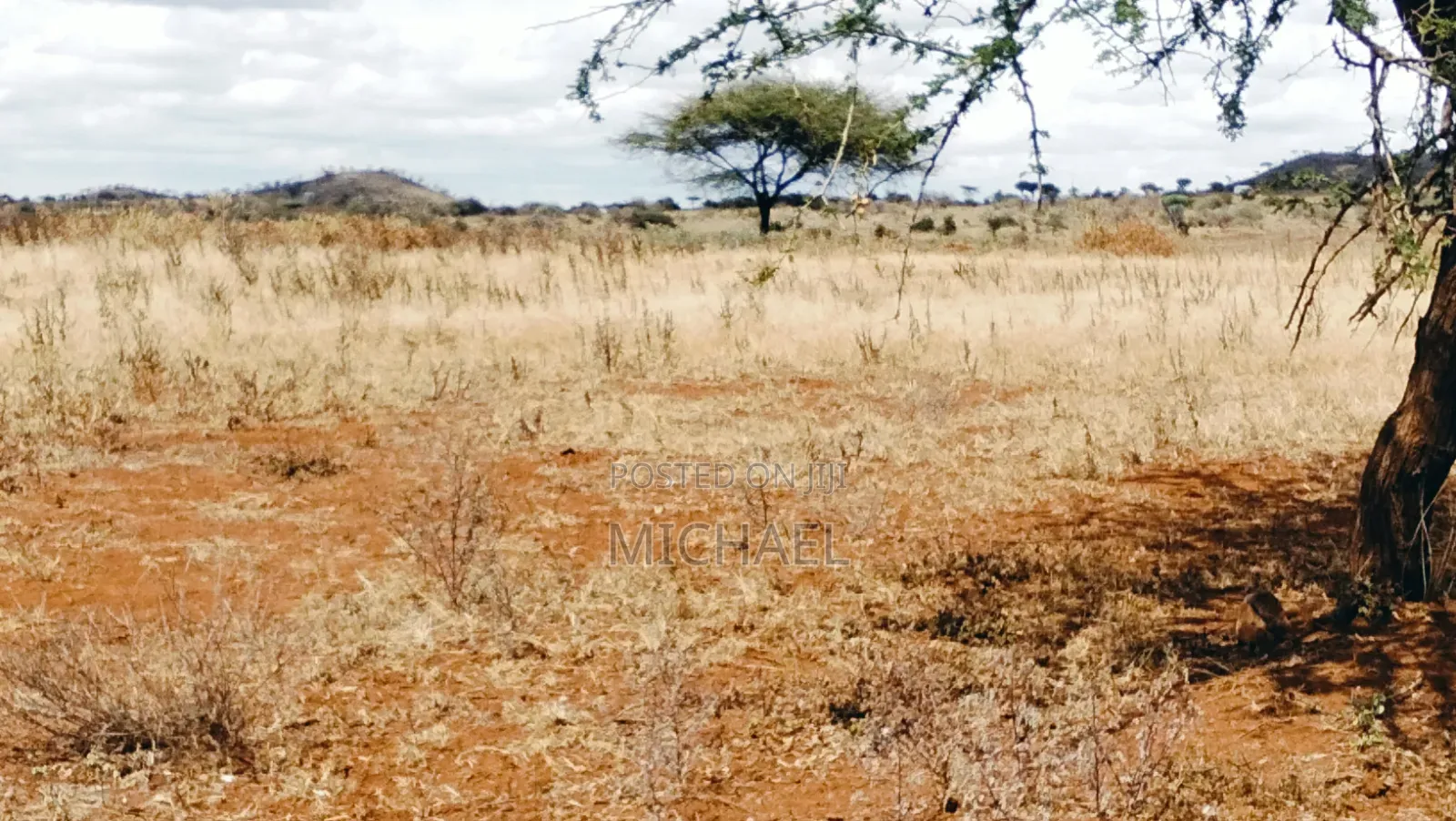 Prime 20 Acres for Sale – Great Investment Farming Opportunity! in Kimana