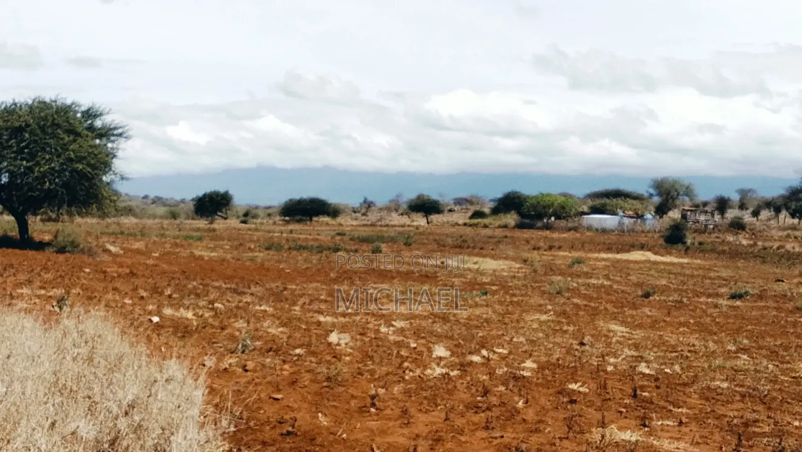 Prime 20 Acres for Sale – Great Investment Farming Opportunity! in Kimana