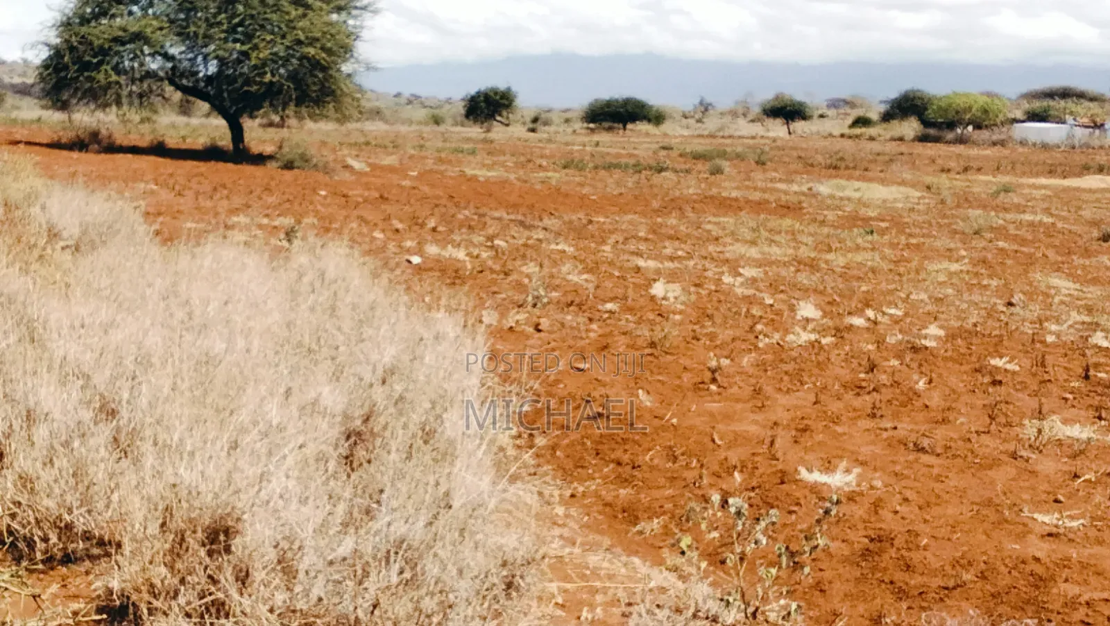 Prime 20 Acres for Sale – Great Investment Farming Opportunity! in Kimana