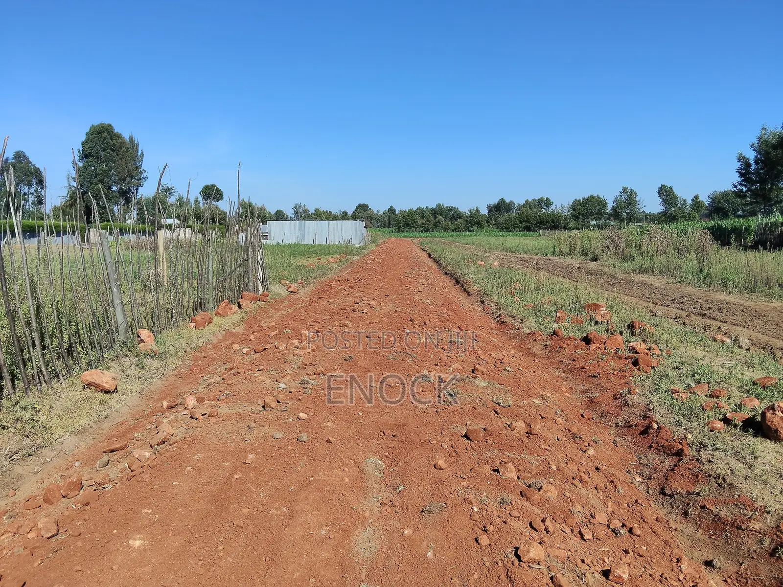 Chepkanga Prime Plots on Sale in Kimumu