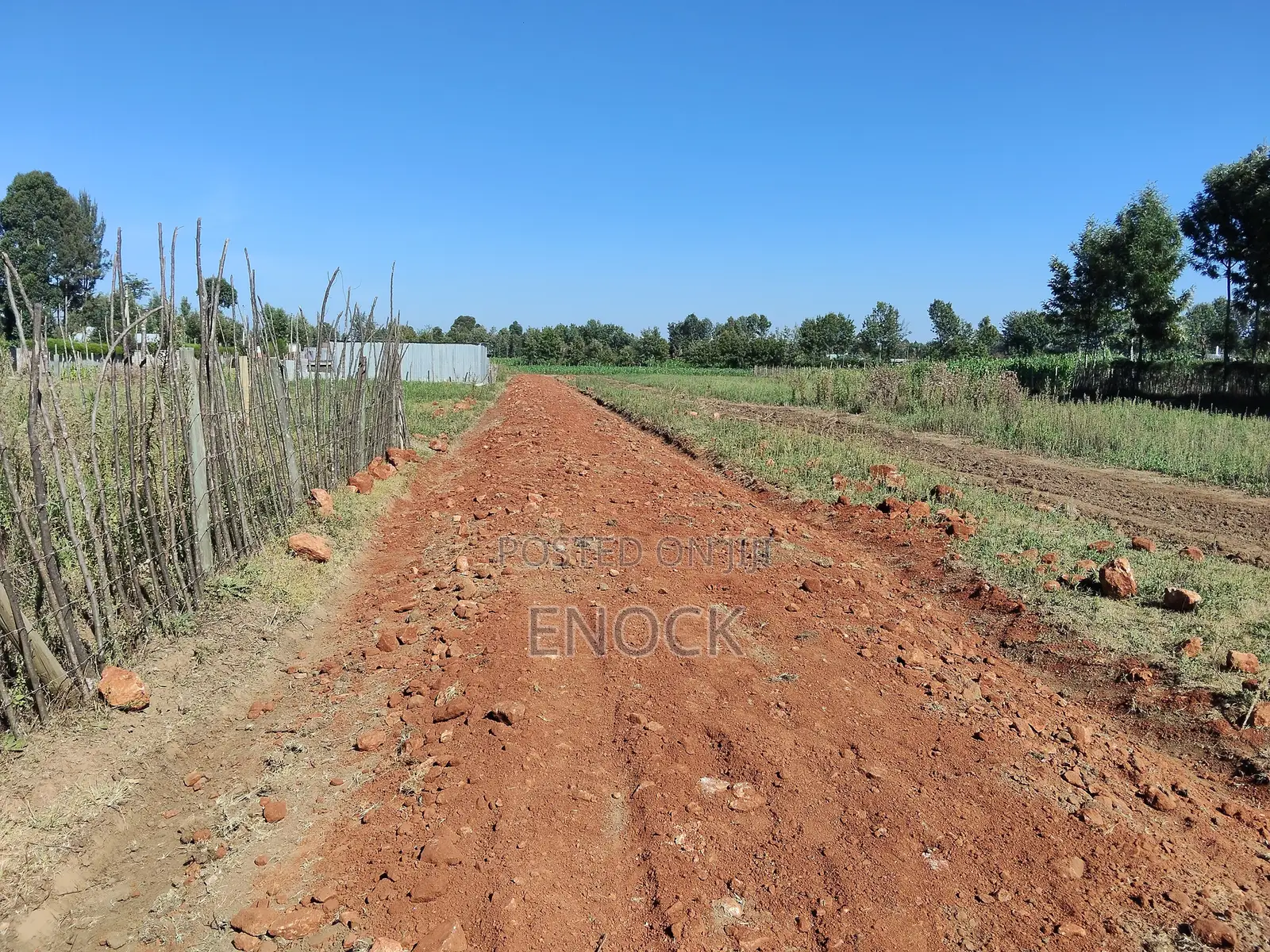 Chepkanga Prime Plots on Sale in Kimumu