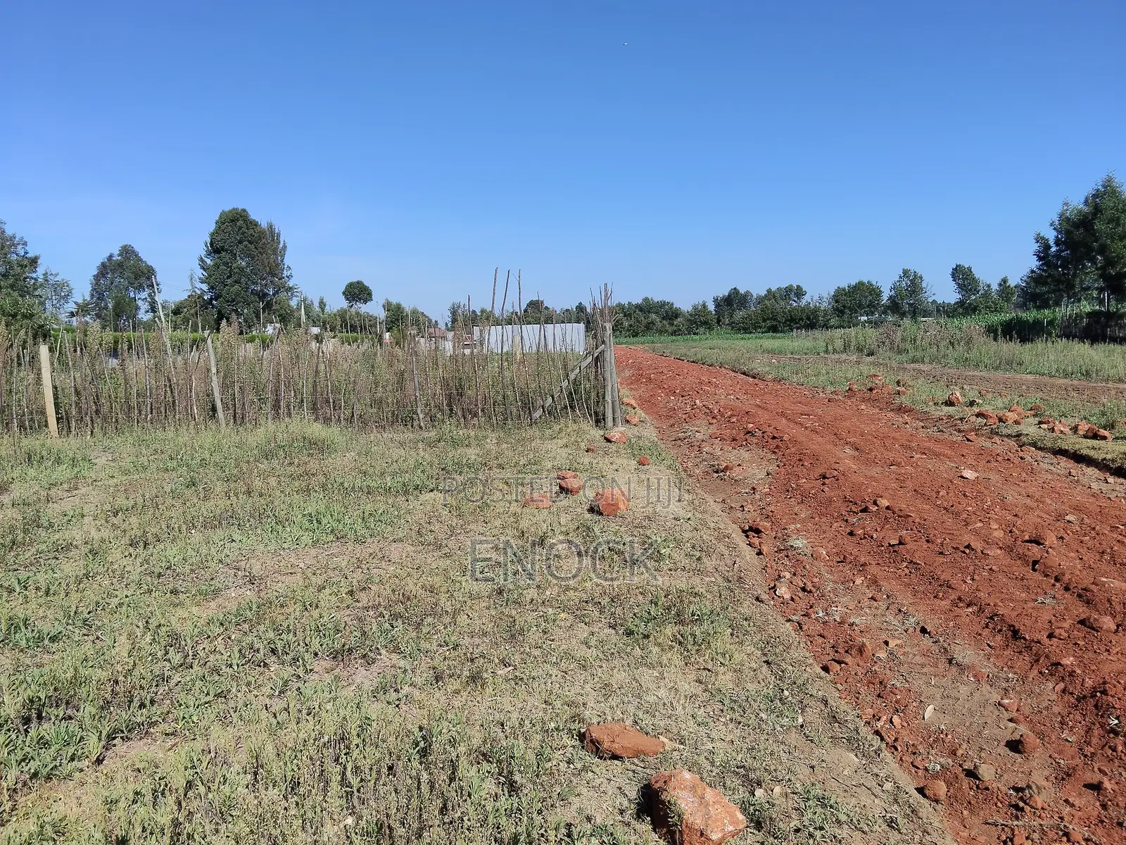 Chepkanga Prime Plots on Sale in Kimumu