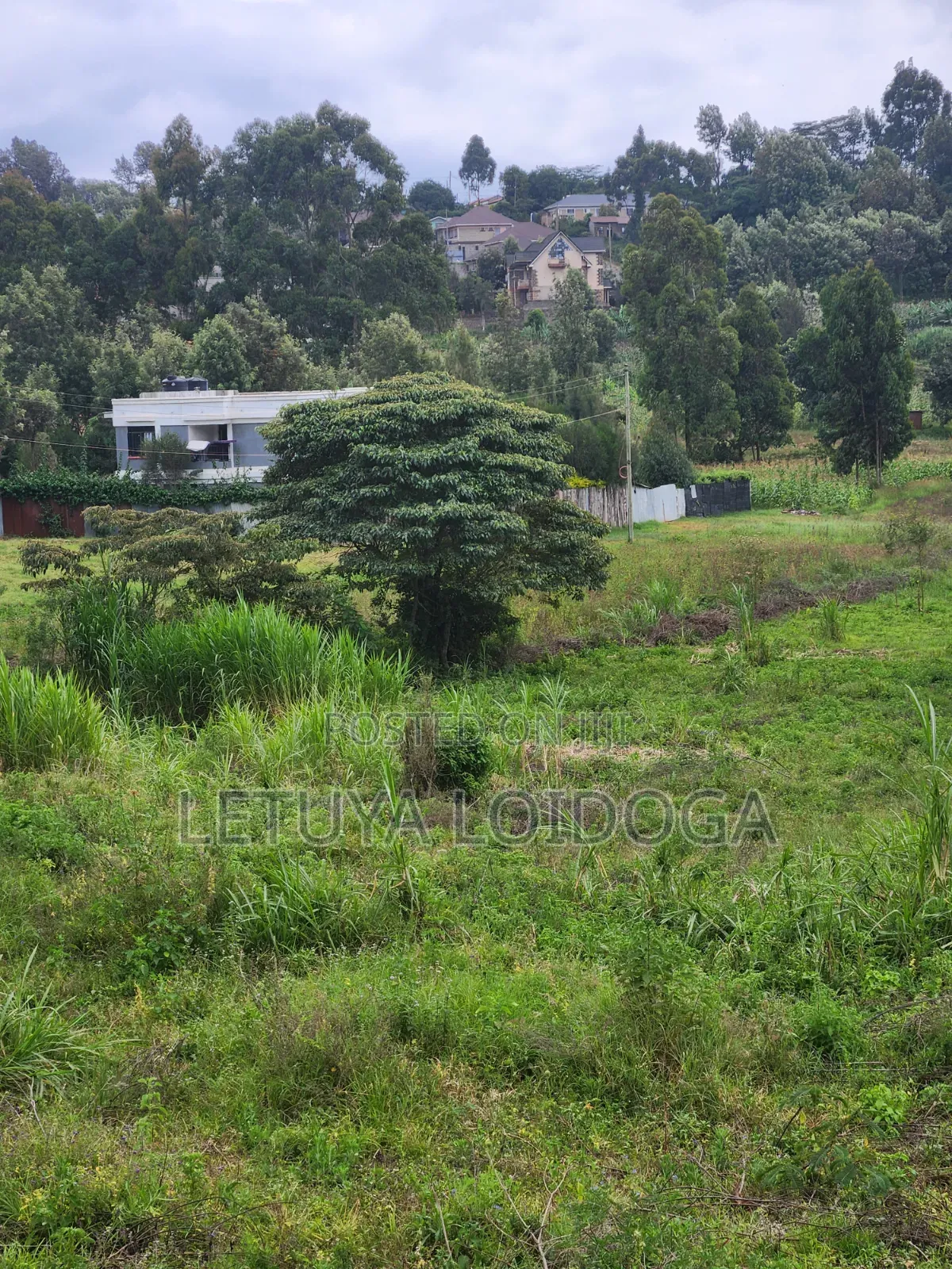 1⁄8 Acre , 1⁄4acre Ngong-Lemiso Road in Ngong CBD