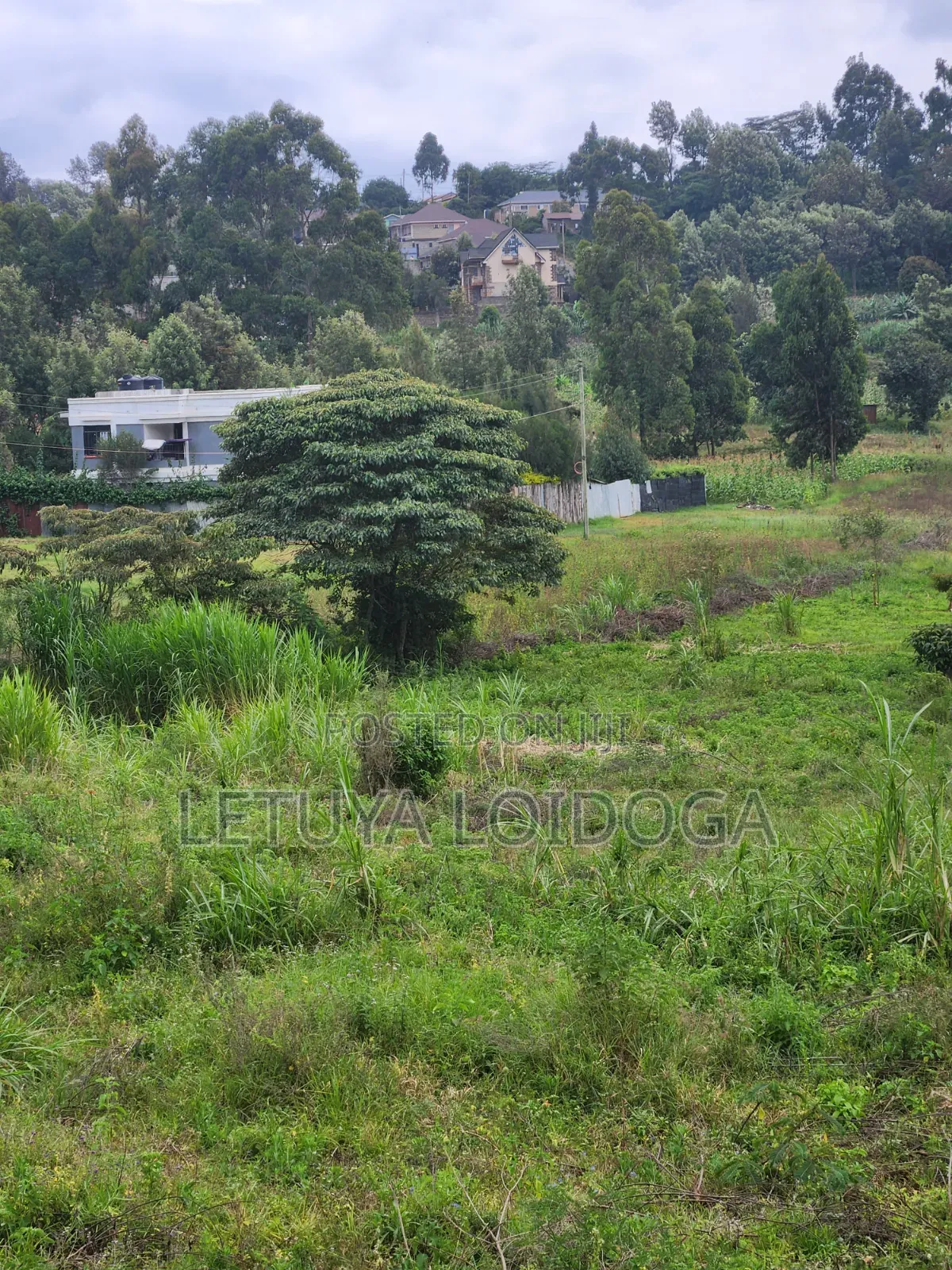 1⁄8 Acre , 1⁄4acre Ngong-Lemiso Road in Ngong CBD