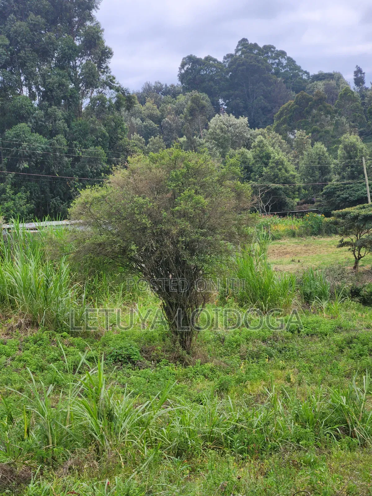 1⁄8 Acre , 1⁄4acre Ngong-Lemiso Road in Ngong CBD