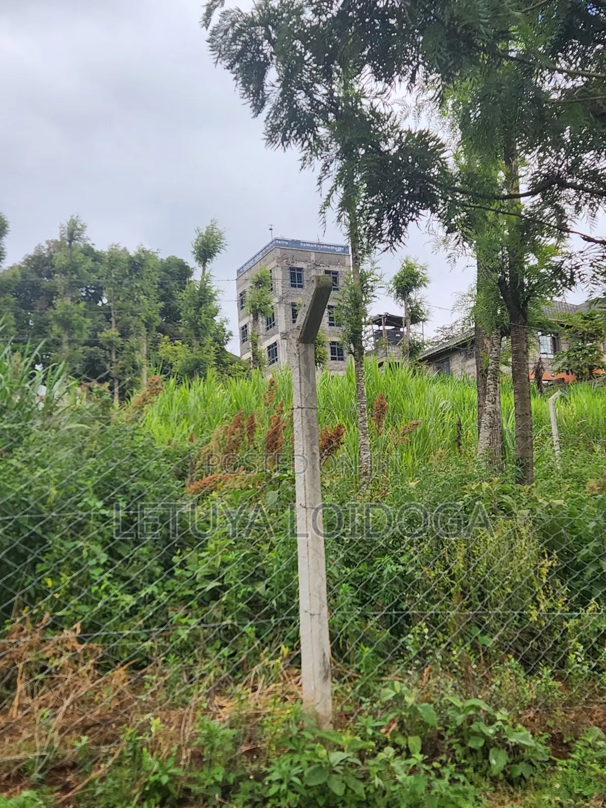1⁄8 Acre , 1⁄4acre Ngong-Lemiso Road in Ngong CBD