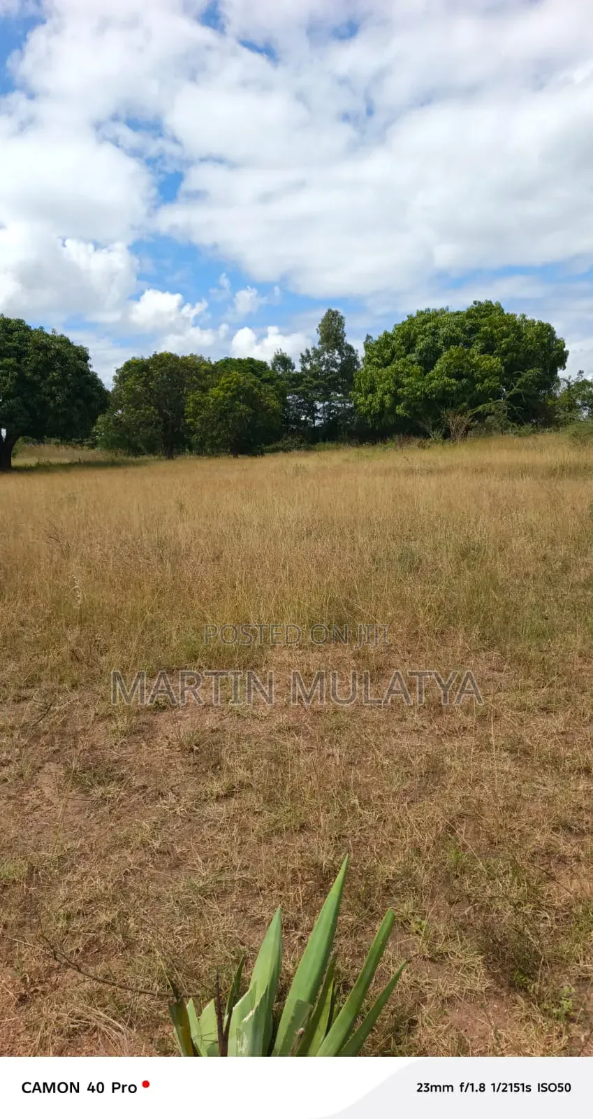 Land for Sell in Kangundo Central