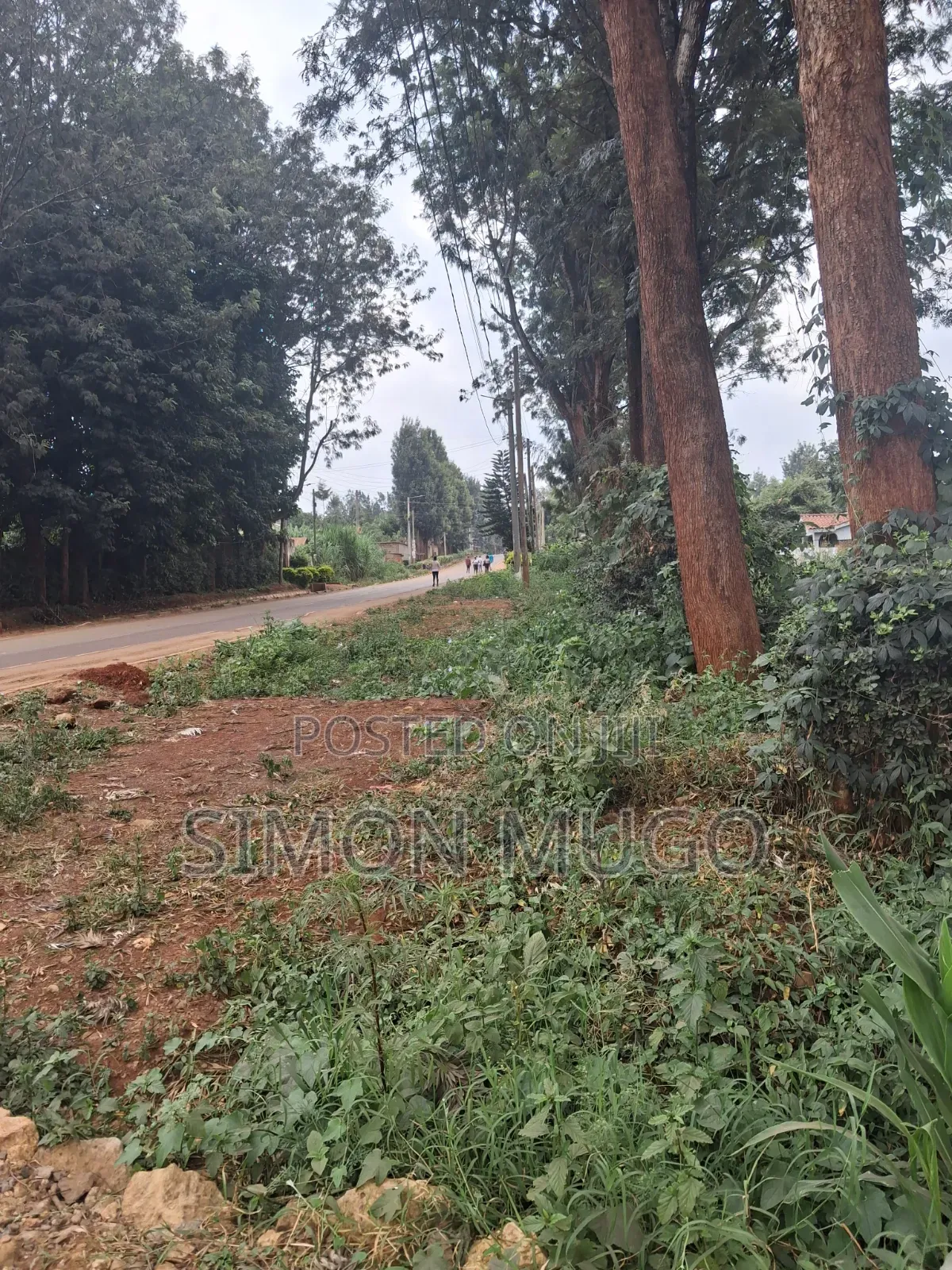 Thindigua Kiambu Rd Prime 2.25ac Ideal for High Rise Apartments in Thindigua/Kasarini