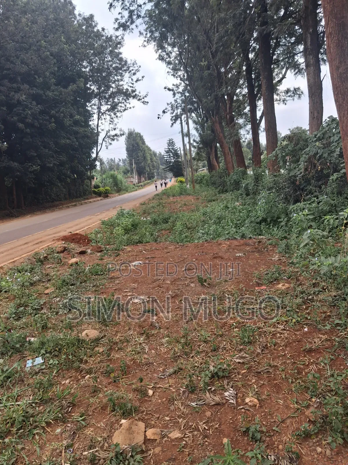Thindigua Kiambu Rd Prime 2.25ac Ideal for High Rise Apartments in Thindigua/Kasarini