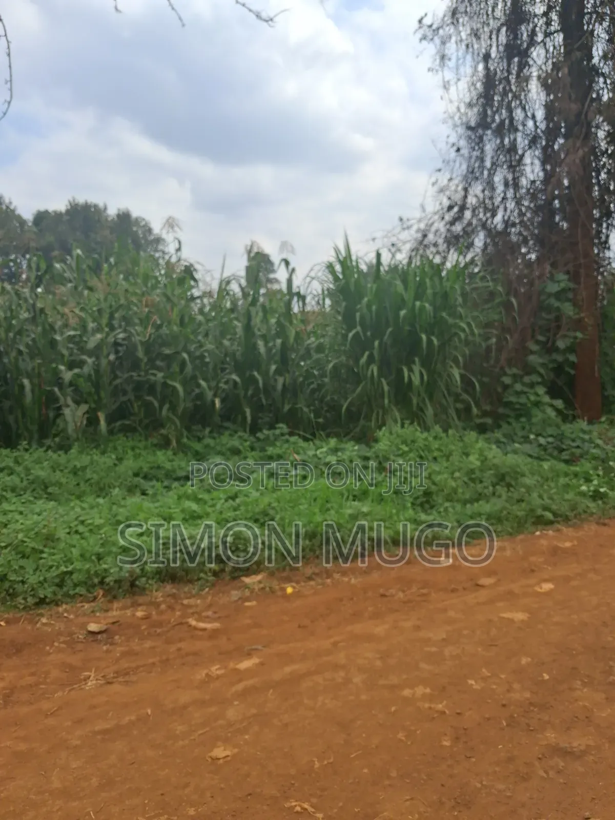 Thindigua Kiambu Rd Prime 2.25ac Ideal for High Rise Apartments in Thindigua/Kasarini