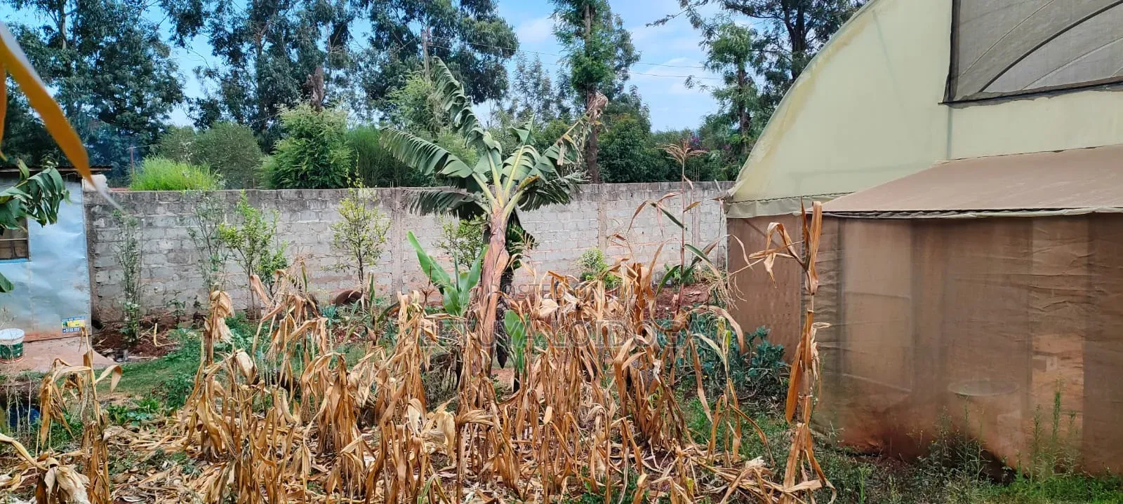 Prime 1⁄4 Acre Ngong-Kibiko(Maragara Road) in Kibiku