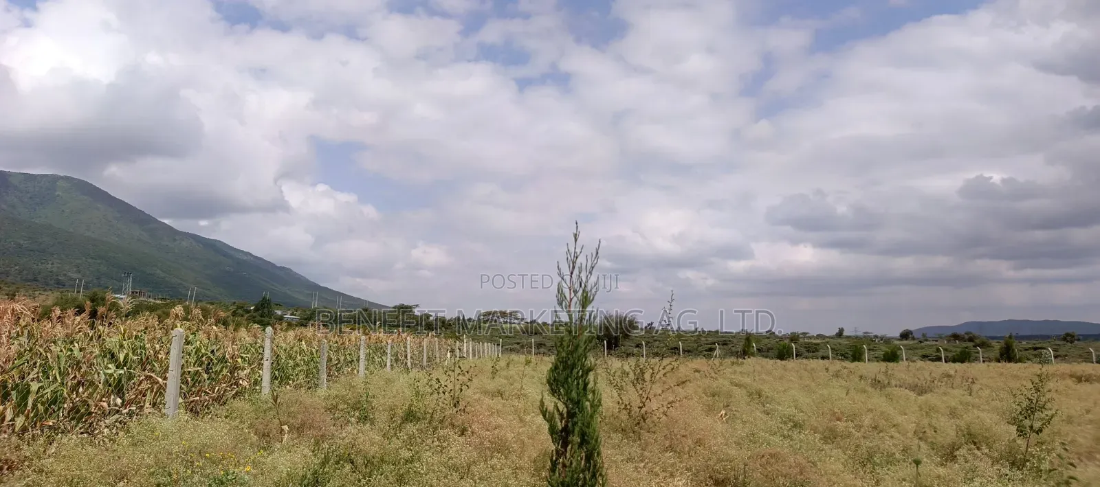 Plots for Sale in Ngong Kimuka. in Kiserian