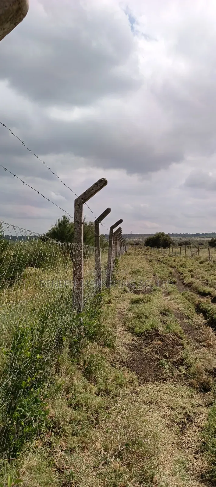 Plots for Sale in Ngong Kimuka. in Kiserian