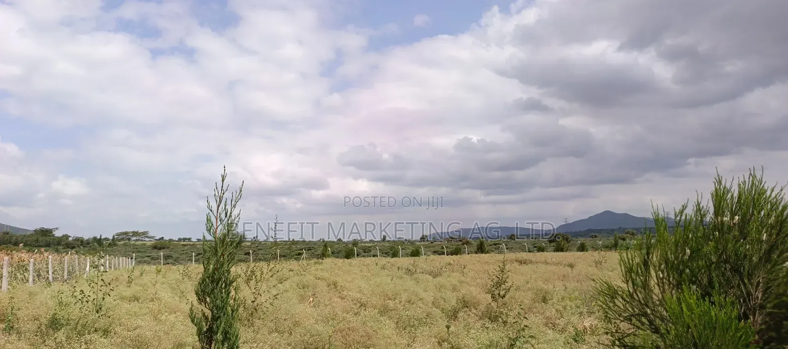 Plots for Sale in Ngong Kimuka. in Kiserian