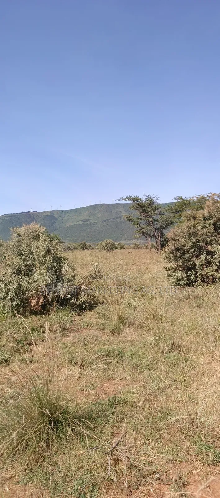 Half Acre Plot for Sale in Ngong Kimuka in Ngong CBD