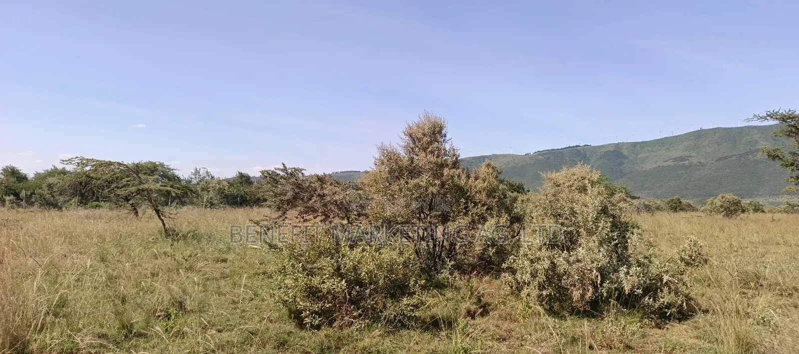 Half Acre Plot for Sale in Ngong Kimuka in Ngong CBD