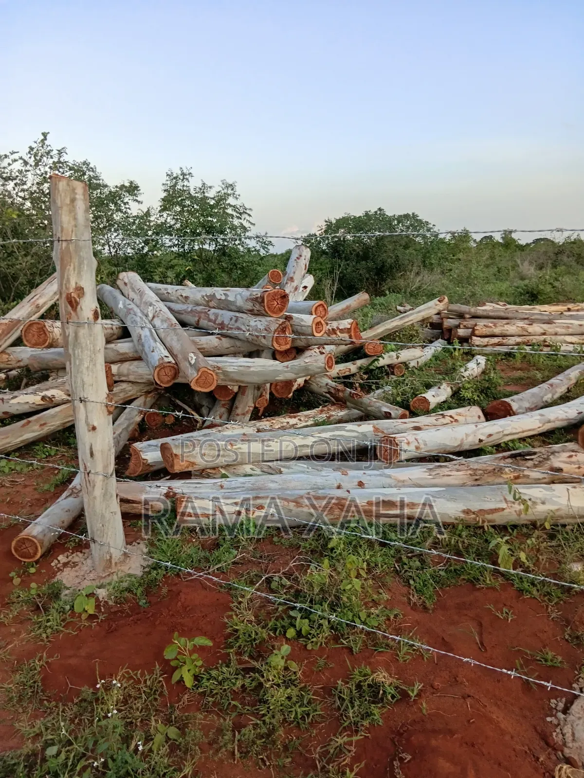 2 Acres for Sale at Baolala,Clean Title Deed in Jilore