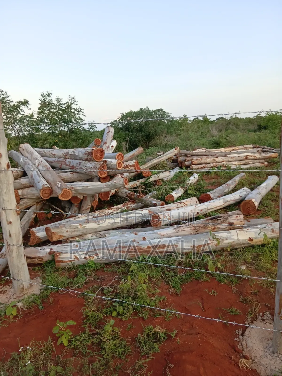 2 Acres for Sale at Baolala,Clean Title Deed in Jilore