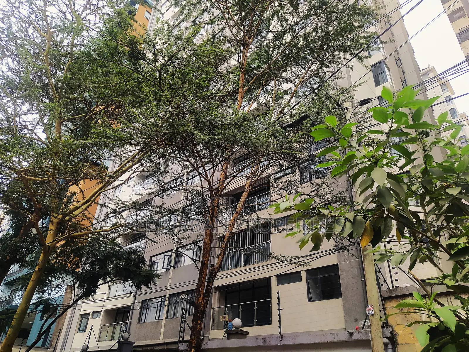 1bdrm Apartment in Heartlands Homes, Hurlingham for rent in Hurlingham