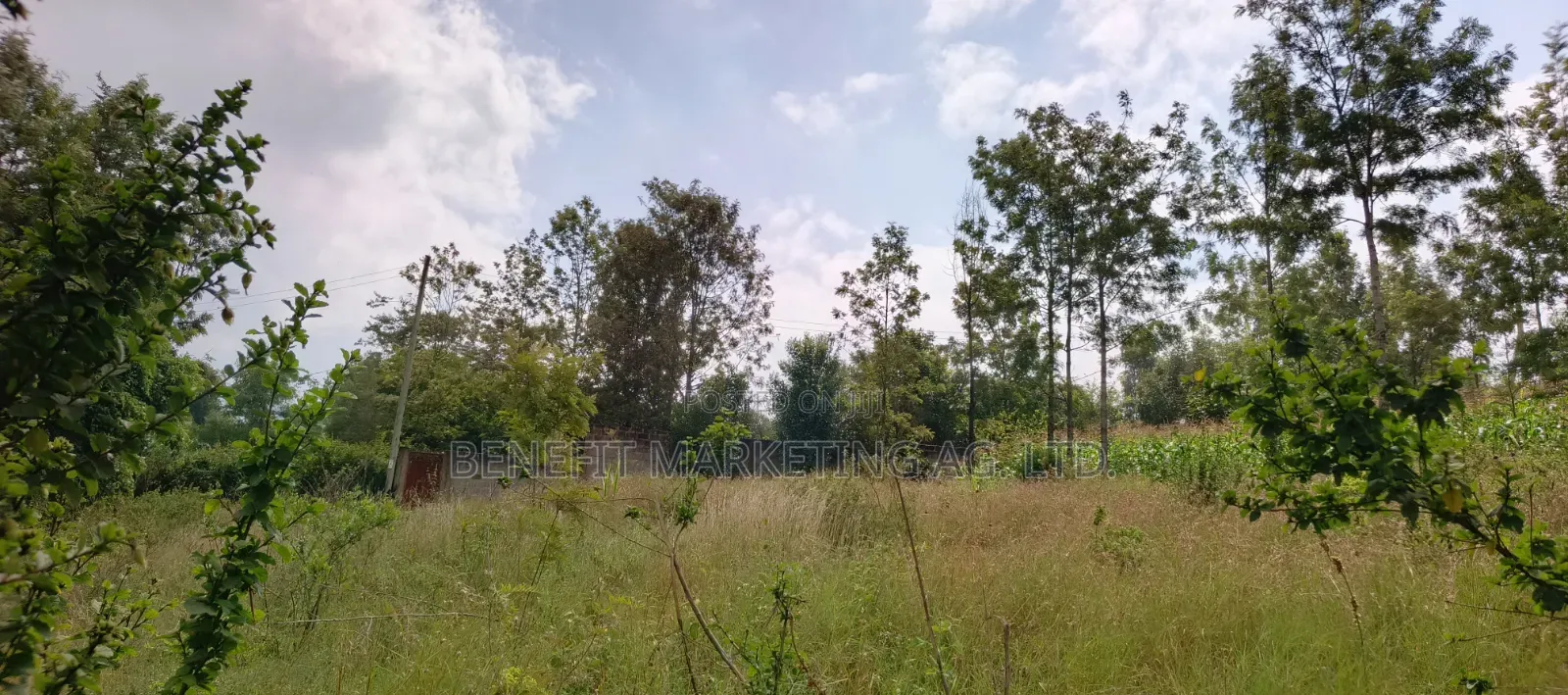 Commercial Quarter Acre Ideal for Apartments for Sale in Ngong in Ngong CBD