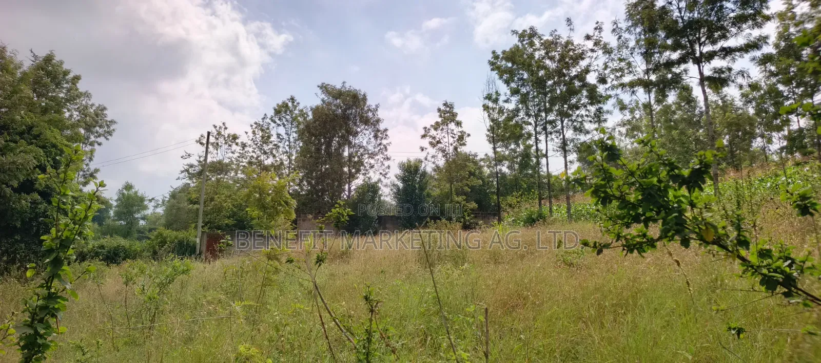 Commercial Quarter Acre Ideal for Apartments for Sale in Ngong in Ngong CBD